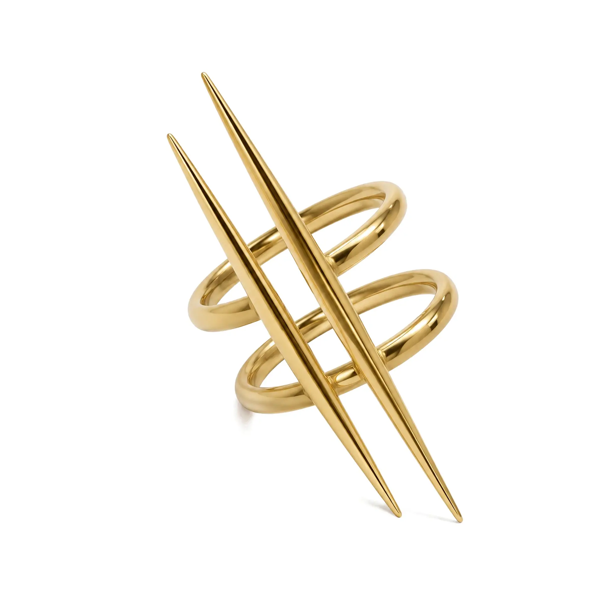 Anillo Agujas