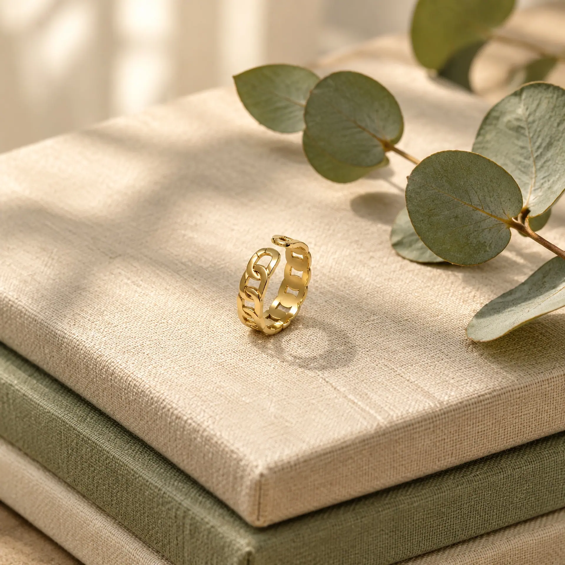 Anillo Eslabones, foto 2